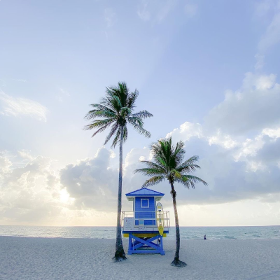 Fort Lauderdale beach with palm trees