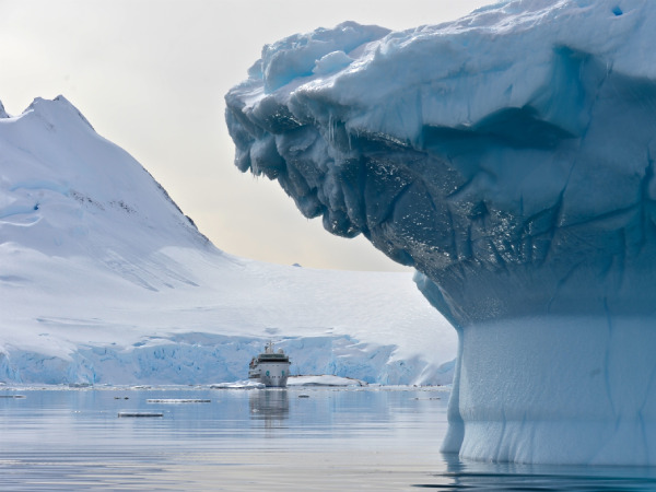 Introducing AE Expeditions - Paramount Cruises Blog